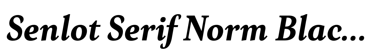 Senlot Serif Norm Black Italic
